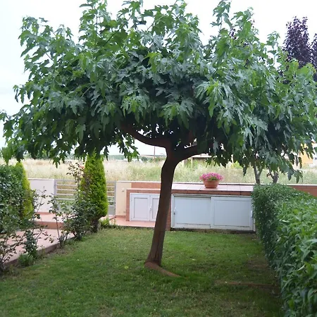 Halkidiki Aggelos
