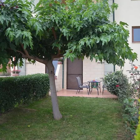 Halkidiki Aggelos * Флогита